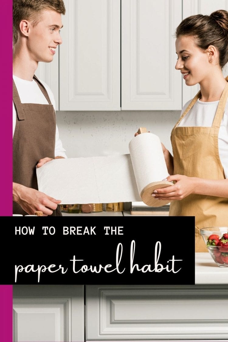 how to break the paper towel habit