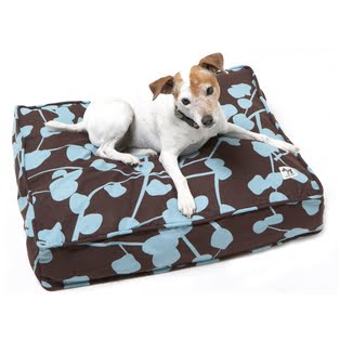 molly mutt dog duvet