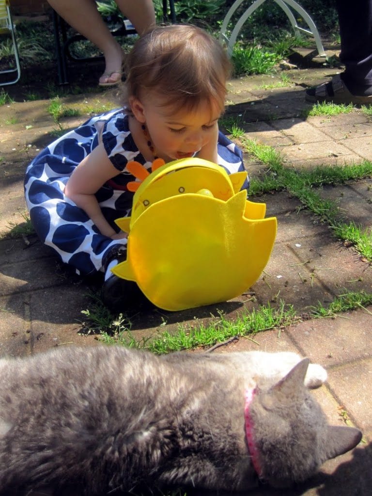 A Bittersweet Easter with Family… and the Family Cat