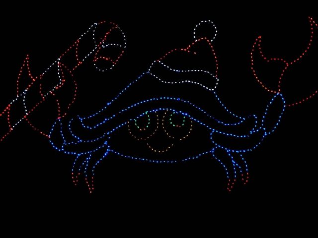 My Weekend in Pictures Dec 19, 2011 2 festival of lights