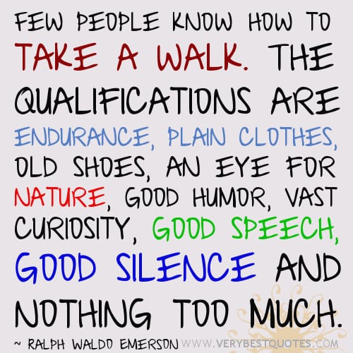 Walking-quotes-Few-people-know-how-to-take-a-walk.-The-qualifications-are-endurance-plain-clothes