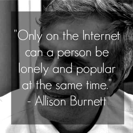 blogging quote allison burnett only on the internet can a person be lonely and popular at the same time