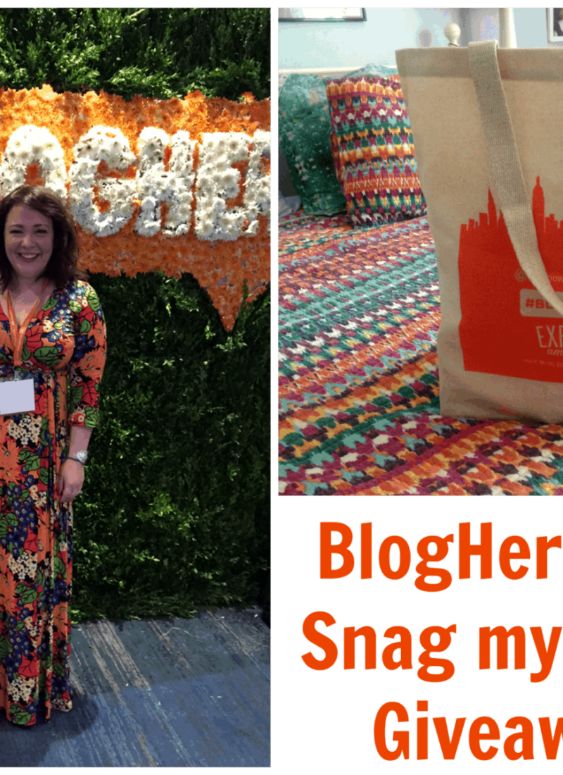 BlogHer 2015 Snag my Swag Giveaway