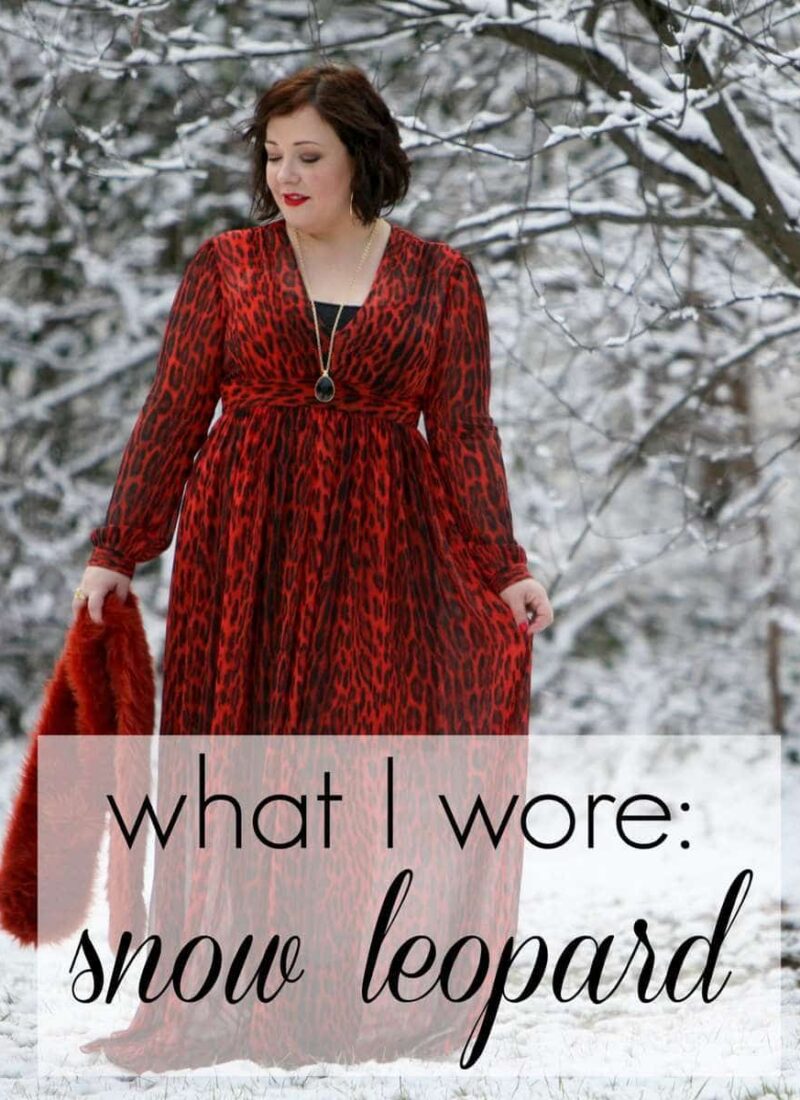 What I Wore: Snow Leopard