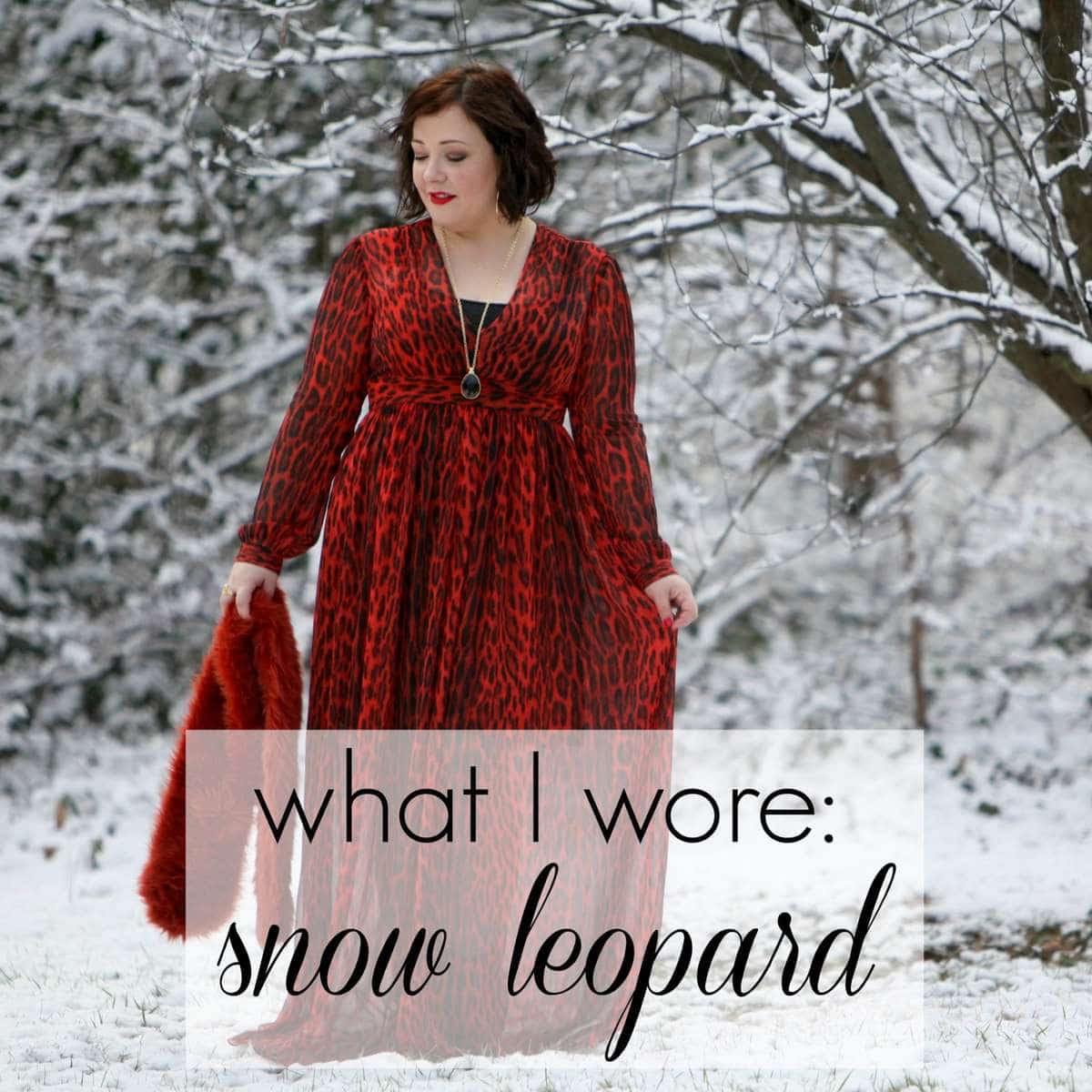 What I Wore: Snow Leopard