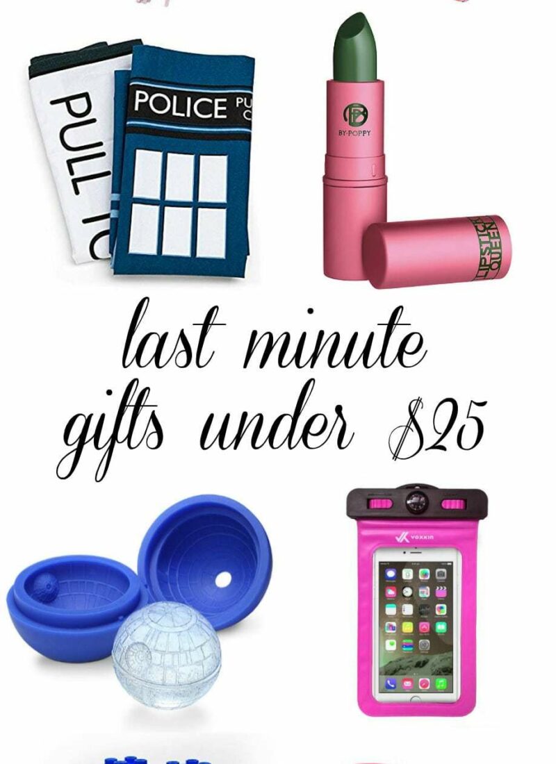 last minute gifts under $25
