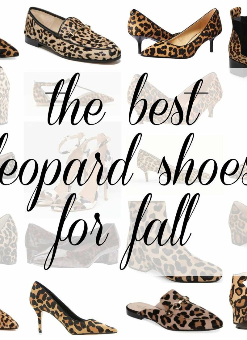 the best leopard print shoes for fall featured by popular DC petite fashion blogger, Wardrobe Oxygen