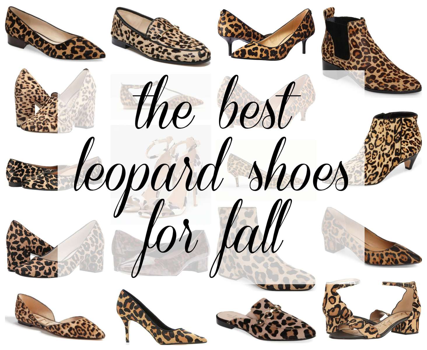 The Best Leopard Print Shoes for Your Wardrobe