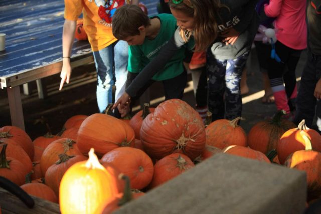 Scenes from the 2017 Greenbelt Pumpkin Festival in Greenbelt, MD. Photo by Karl Gary