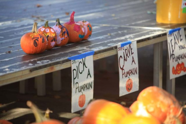 Scenes from the 2017 Greenbelt Pumpkin Festival in Greenbelt, MD. Photo by Karl Gary