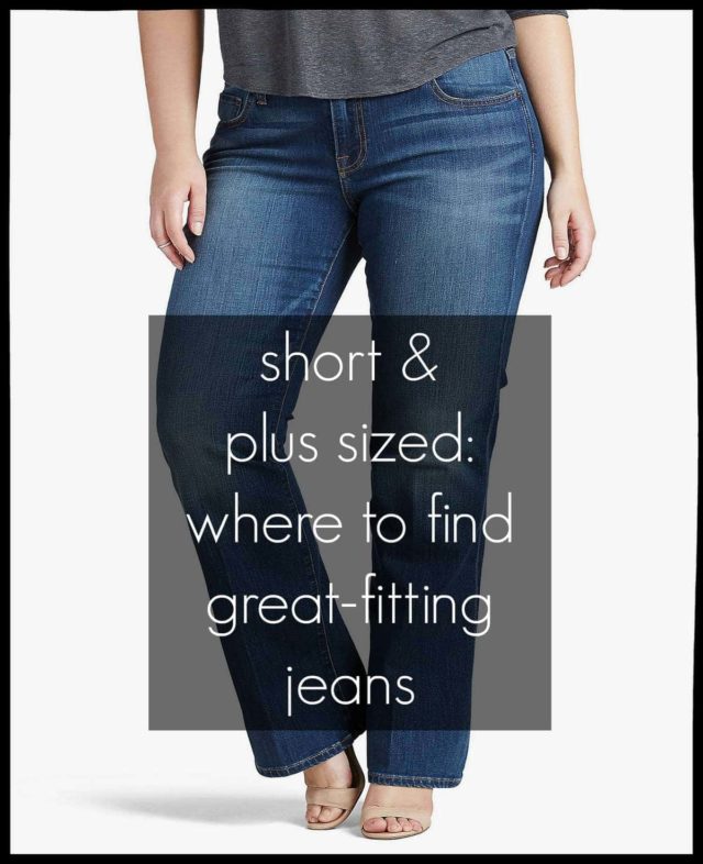 short plus size best jeans