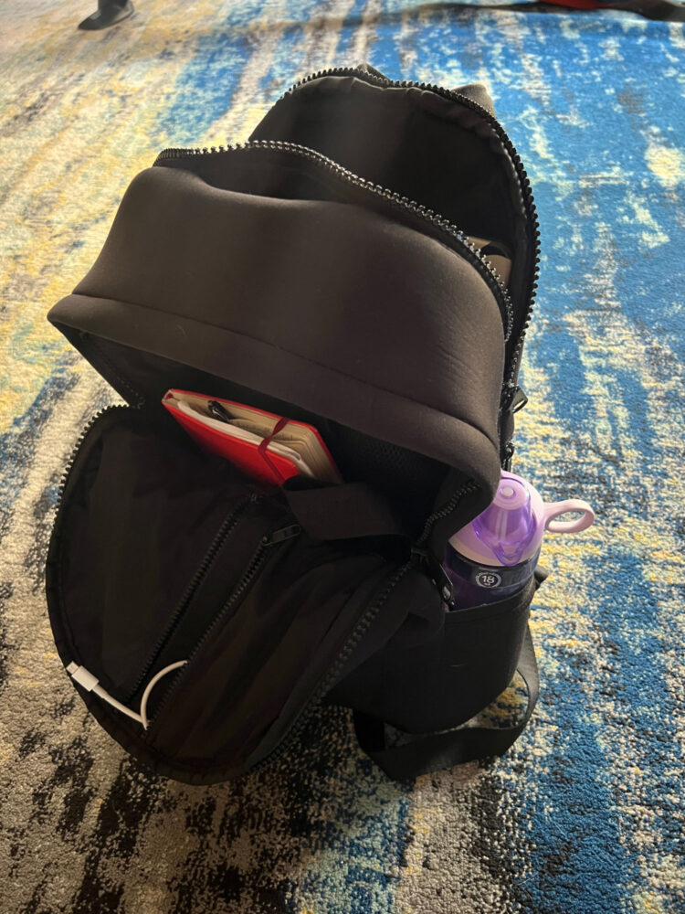 I’ve Owned the Dagne Dover Dakota Backpack for Over 5 Years: Here’s My Honest Review 7 The large dagne dover dakota backpack open to show the design and different compartments