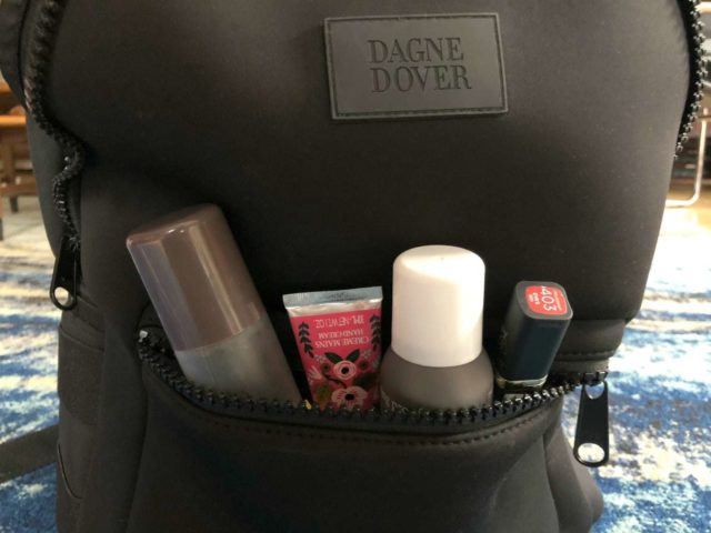 what can you fit in a dagne dover dakota backpack
