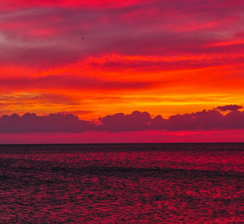 Photo by Annette Batista Day on Unsplash