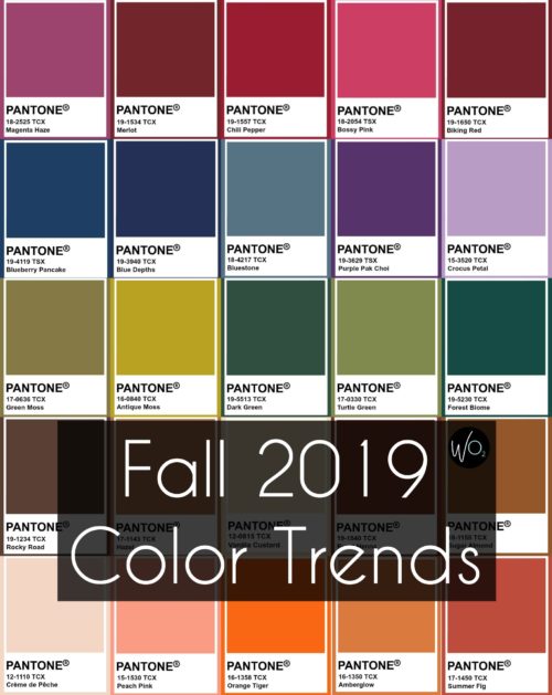 Fall 2019 Color Trends