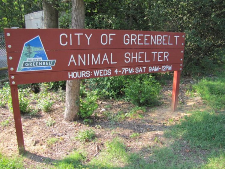 greenbelt animal shelter