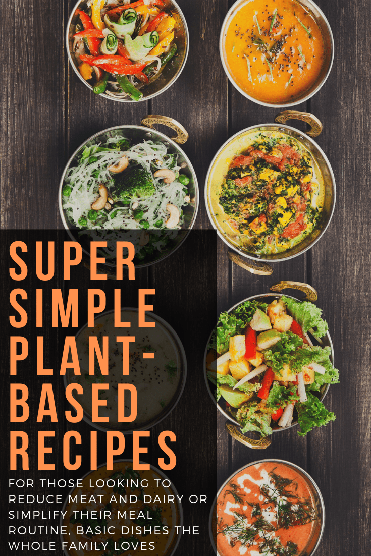 super simple plant based recipes