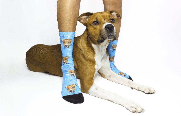 pupsocks