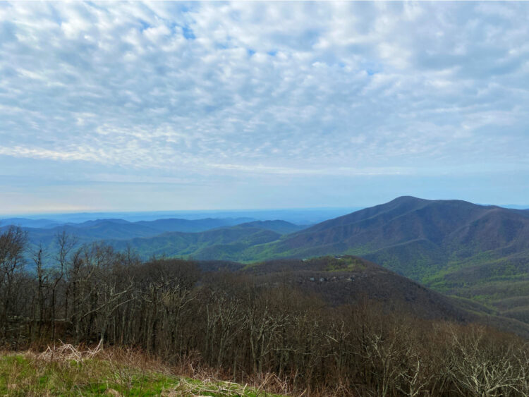 devils knob wintergreen va