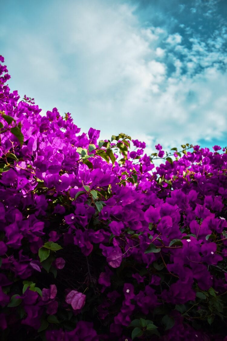 Weekend Reads #154 1 gerardo gutierrez fI0BiKiHF0E unsplash
