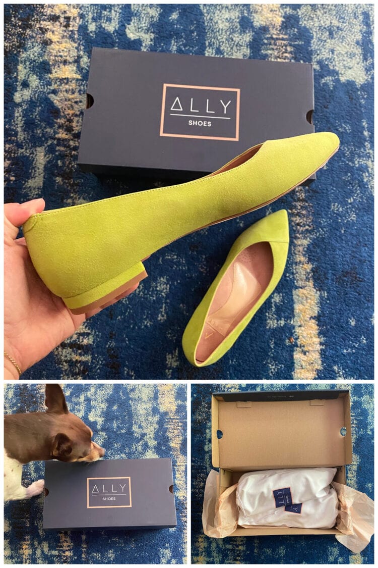 Ally NYC shoes review flats