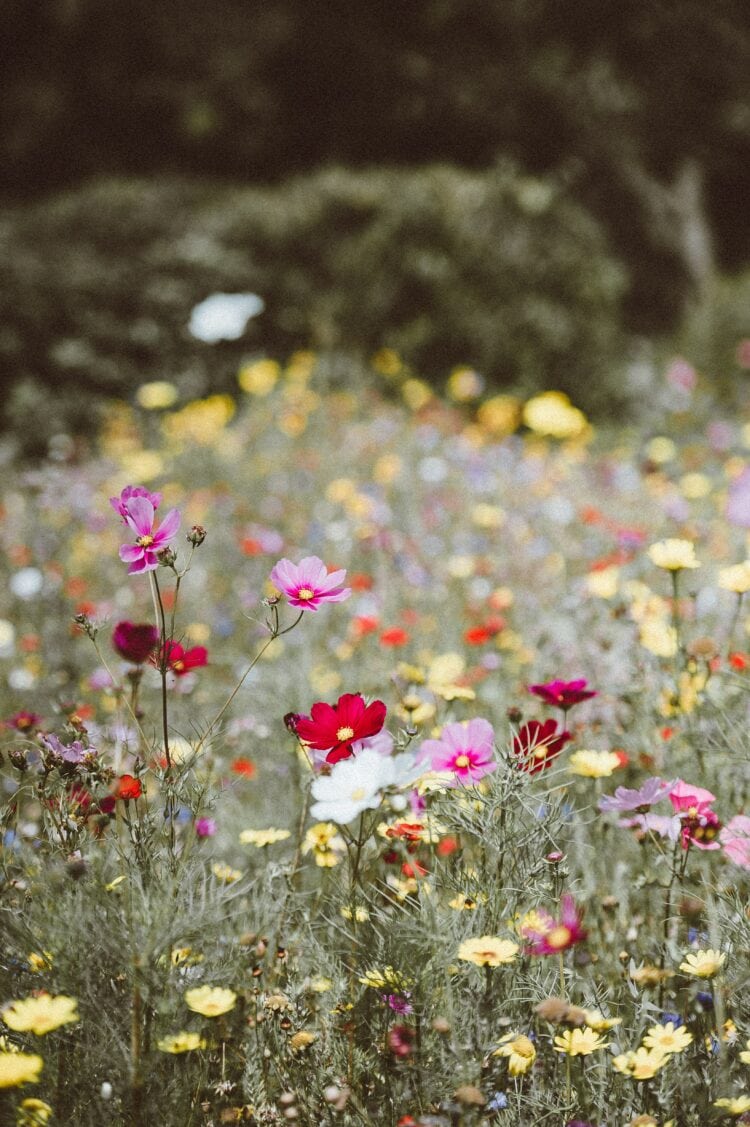 Weekend Reads #174 1 annie spratt 7AvYdG 5504 unsplash