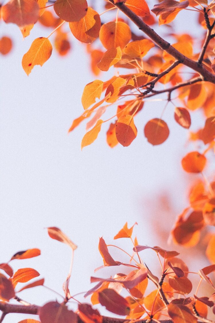 Weekend Reads #171 1 anthony ievlev RZk2SjAGhZw unsplash