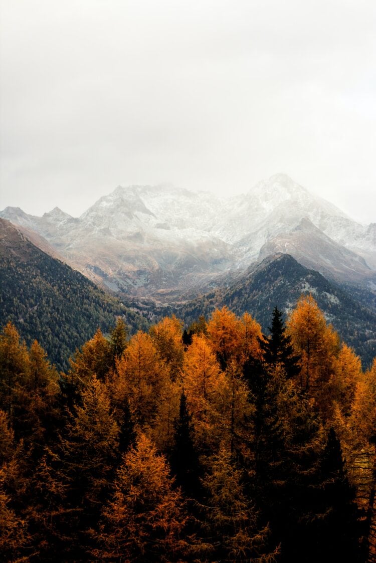 Weekend Reads #176 1 eberhard grossgasteiger 5P91SF0zNsI unsplash