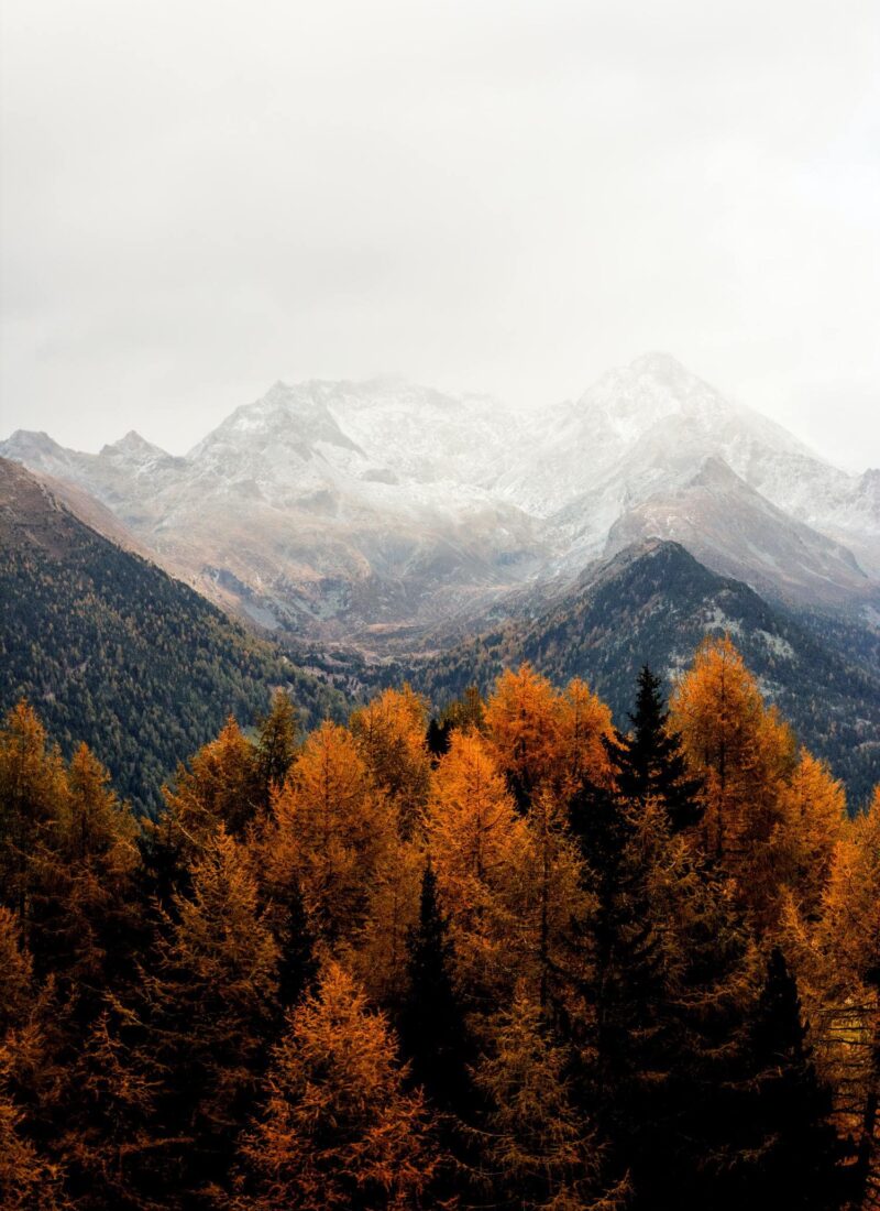 Weekend Reads #176