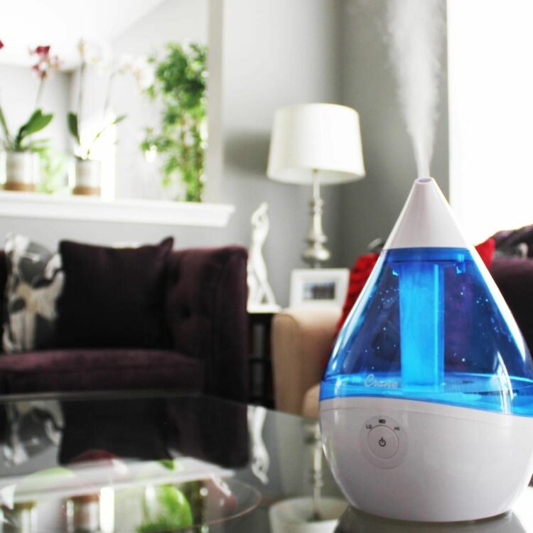 crane humidifier