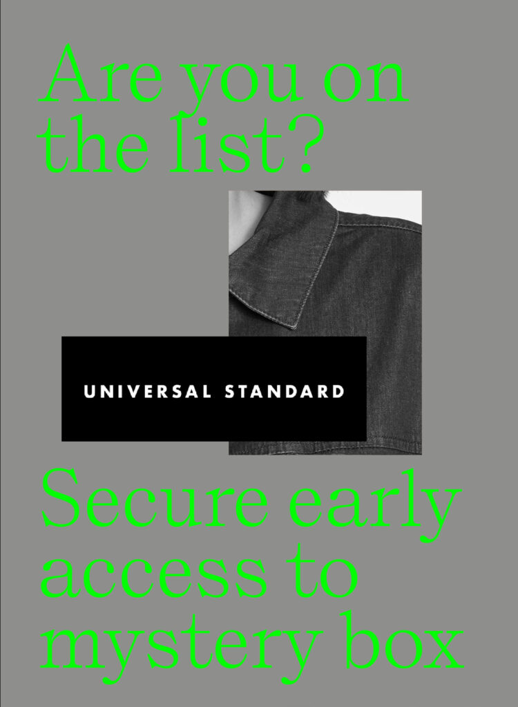 universal standard mystery box 2022
