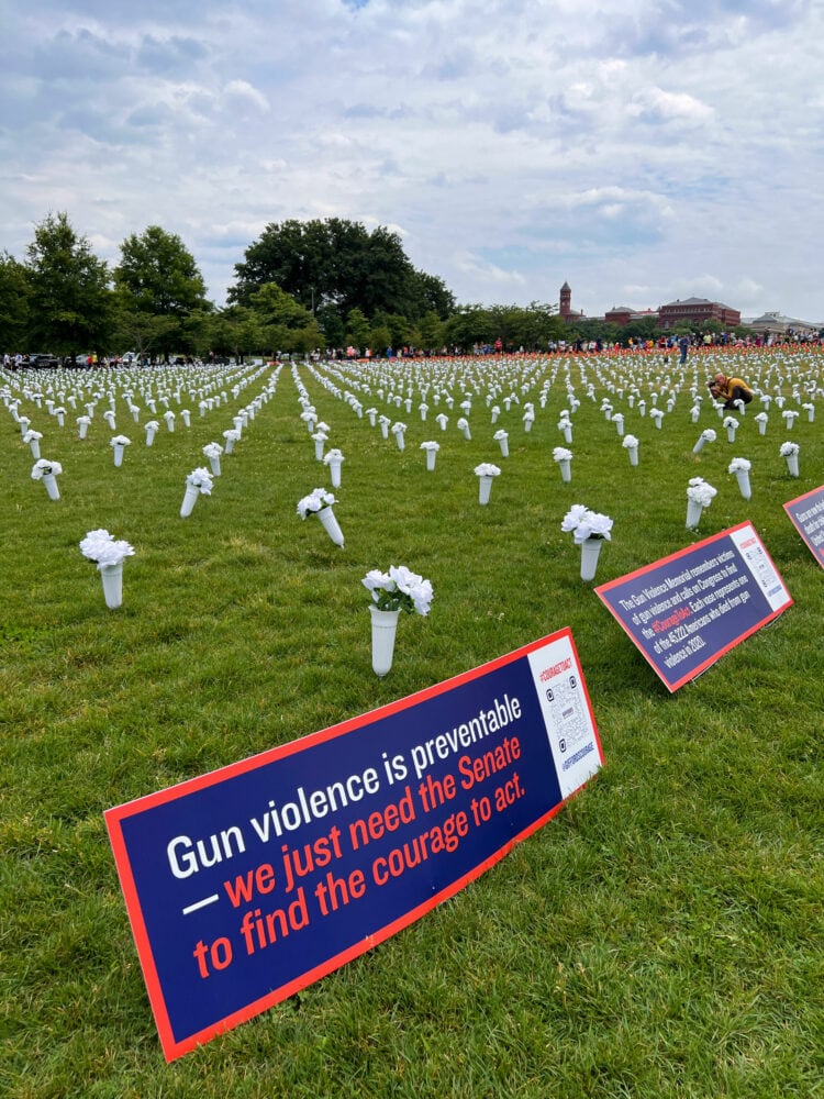 flowers on the mall representing gun violence 2022