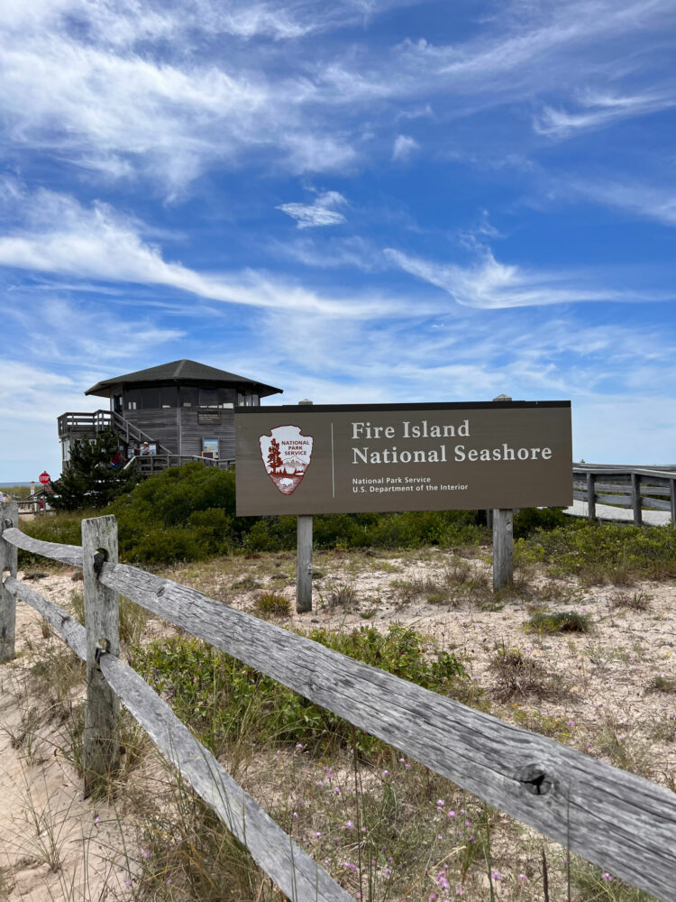 fire island national seashore