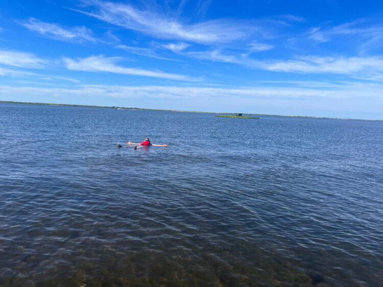 swimming in narrow bay new york 1