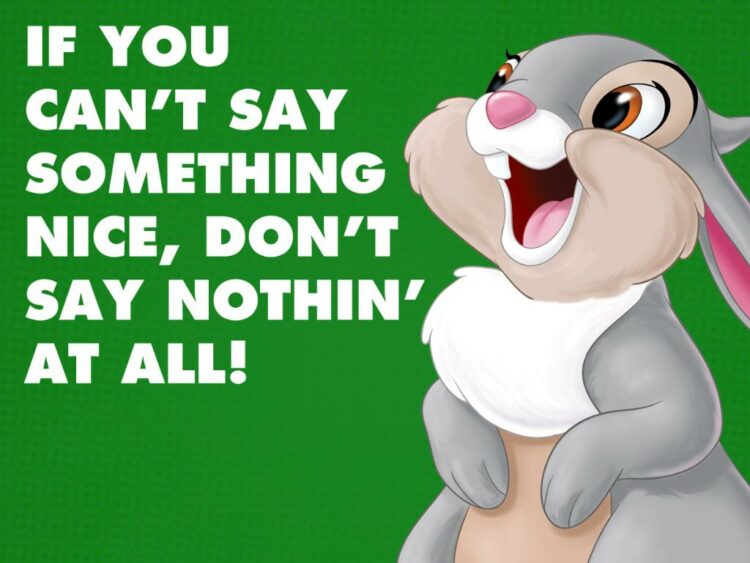 cartoon rabbit named Thumper from the movie Bambi. The rabbit is smiling and the text states if you can't say something nice, don't say nothin' at all!