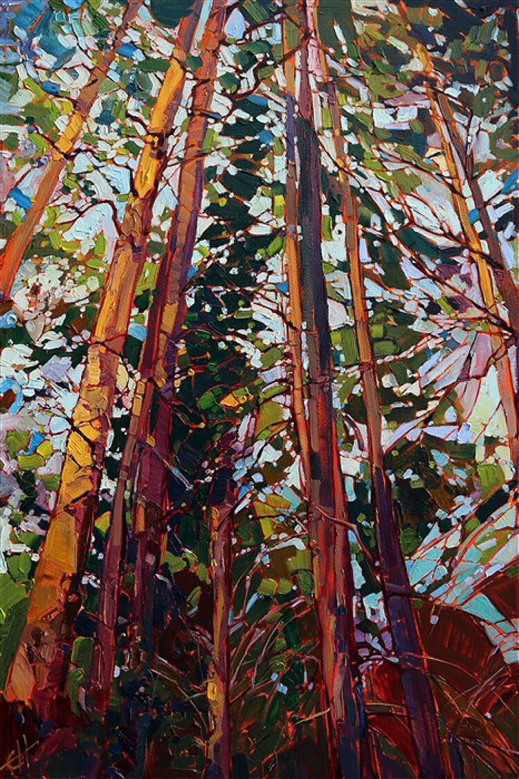 light in the pines Erin Hanson 2013