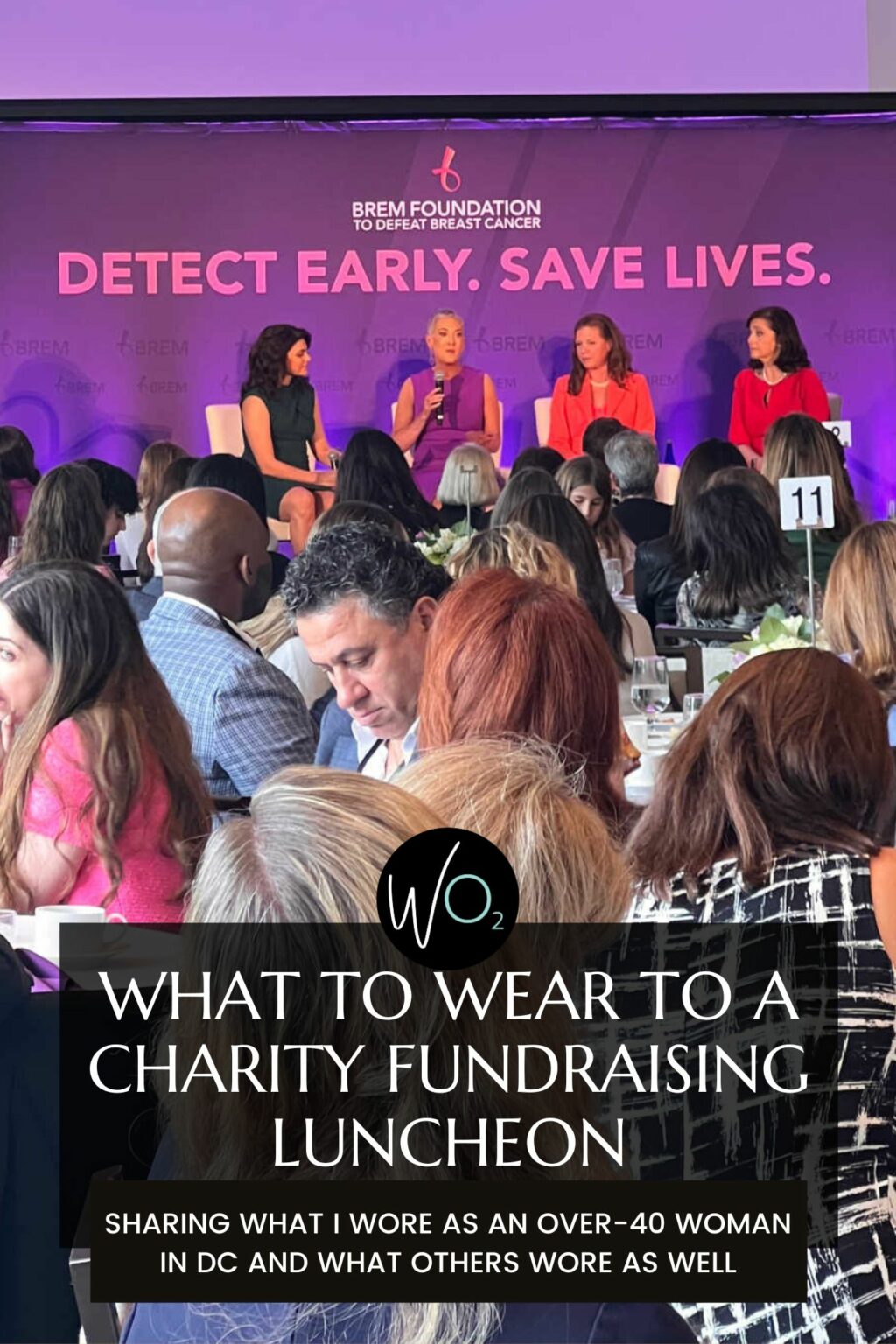 What I Wore to a Charity Fundraising Luncheon in Washington