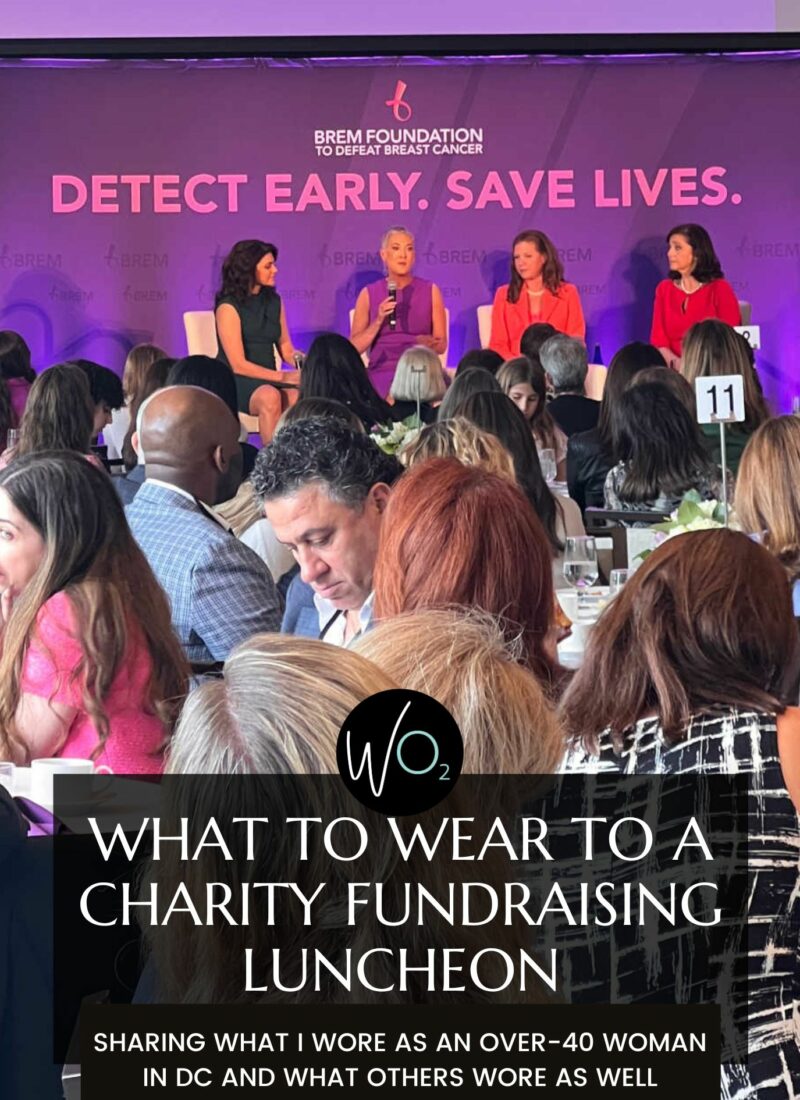 What I Wore to a Charity Fundraising Luncheon in Washington DC