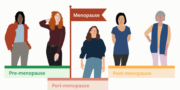 Perimenopause in women