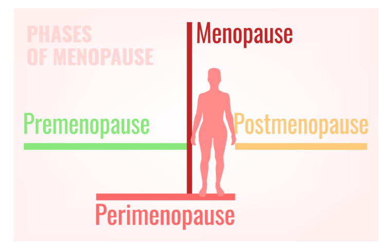Phases of Menopause