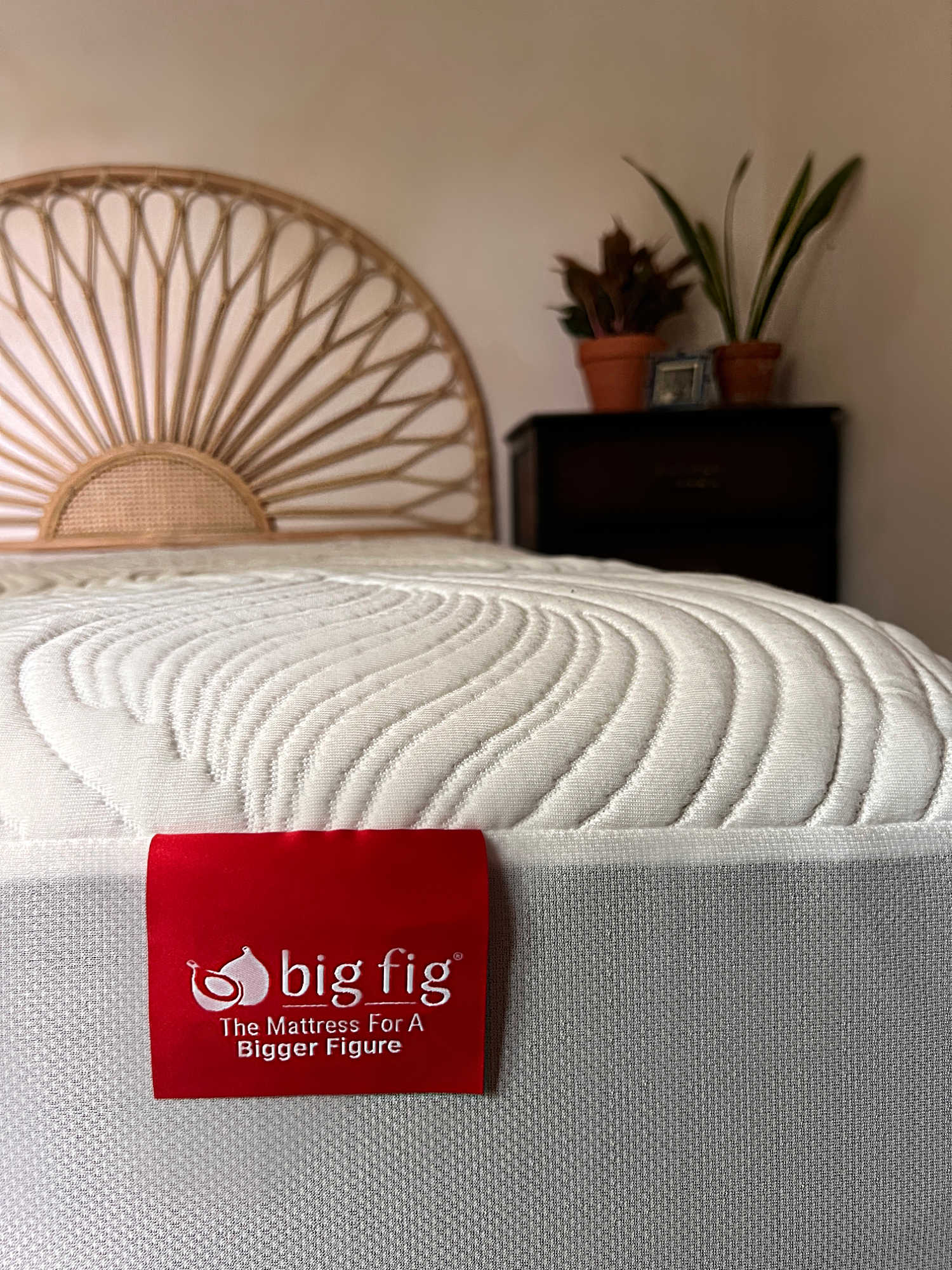 Big Fig mattress system with a rattan sunburst style headboard and a dark wood nightstand holding two potted plants and a framed black and white photo.