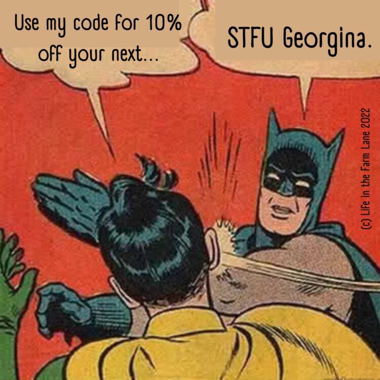 a cartoon of Batman slapping Robin. Robin is saying use my code for 10% off your next and Batman replies STFU Georgina