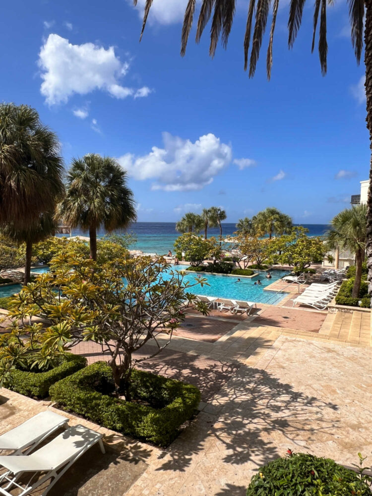 a view of the pool and grounds of the Curacao Marriott Beach Resort from the lobby. Tropical greenery beautifully landscaped, white lounge chairs, a turquoise pool, and beyond the ocean on a bright sunny day