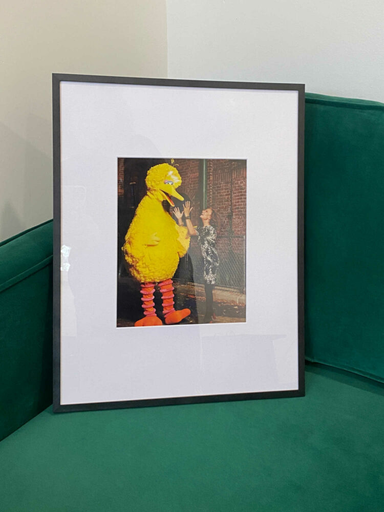  framed picture of big bird with diane von furstenberg
