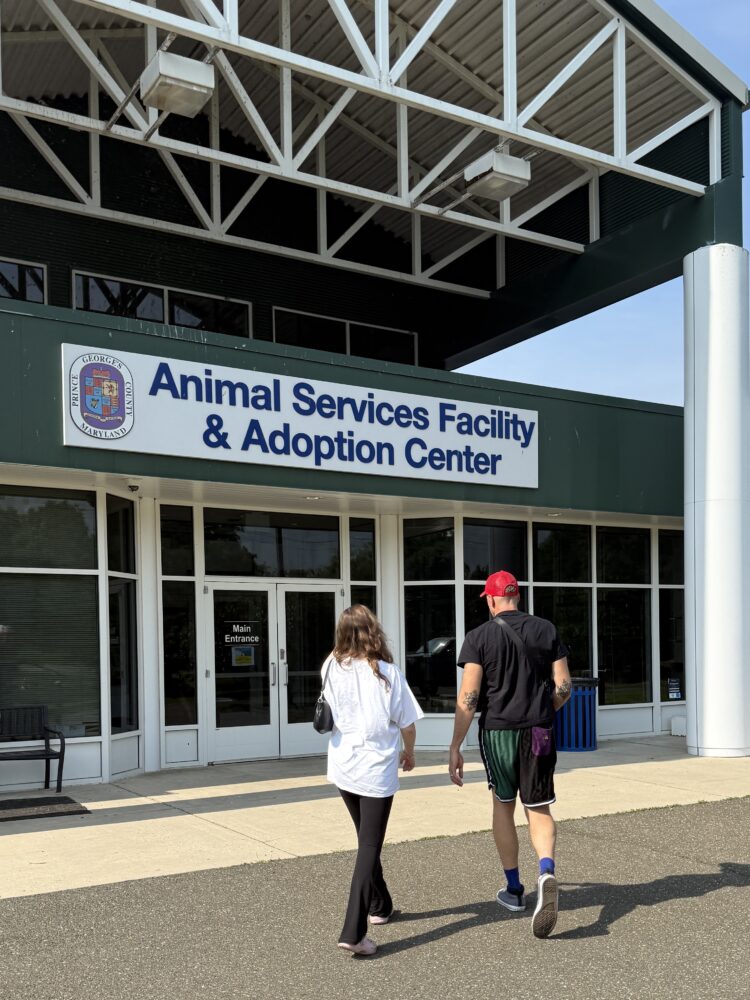 A teen girl and an adult man walking into the Prince George's county Animal Shelter