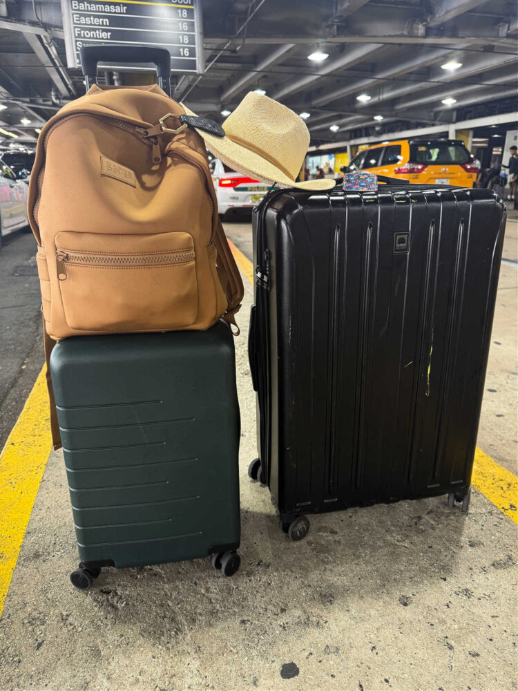 wardrobe oxygen luggage