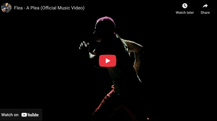 Weekend Reads for How the Eff is it Already December? 13 Screenshot from YouTube of Flea - A Plea (Official Music Video)