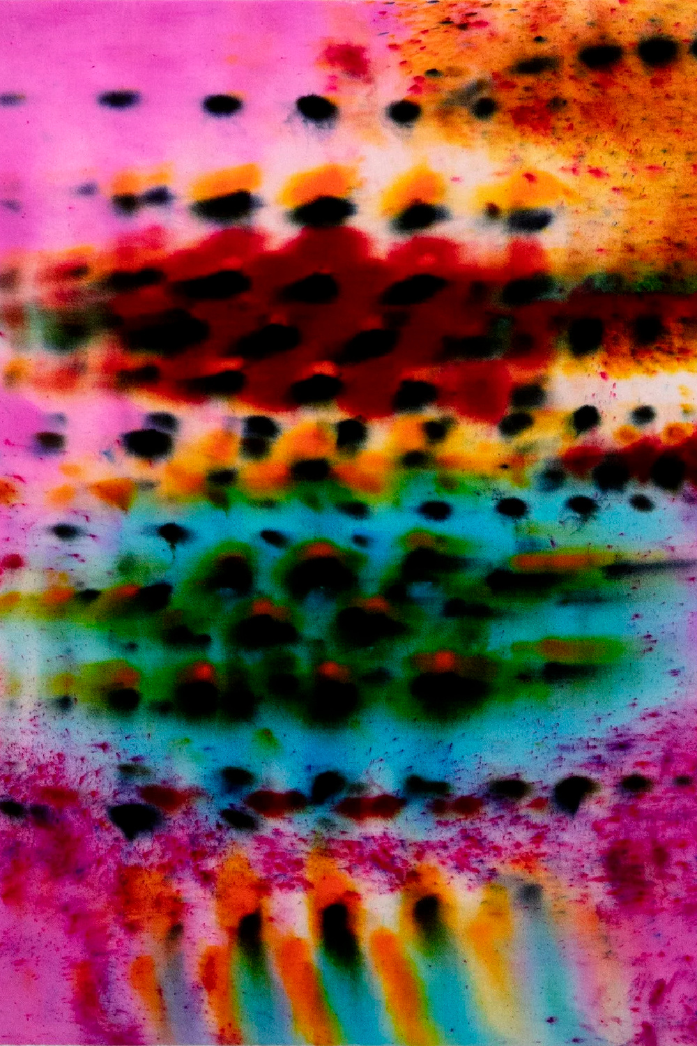 Weekend Reads for Maryland Day Weekend